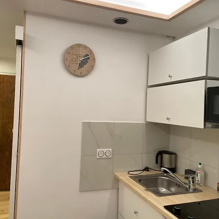 Appartement Vue Mont Blanc Chamonix