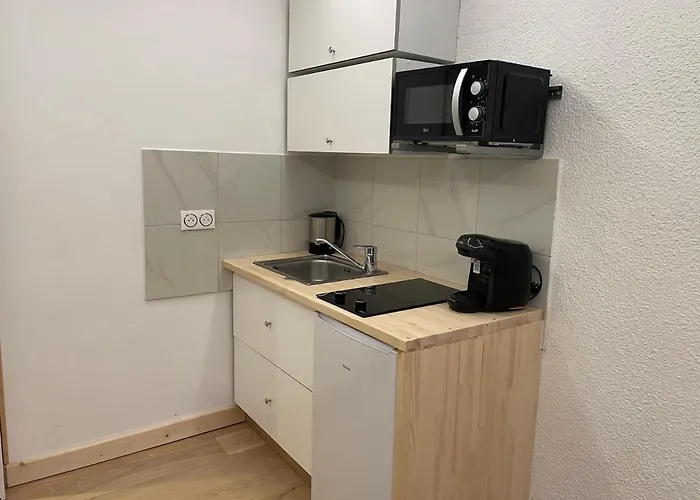 Vue Mont Blanc * Chamonix